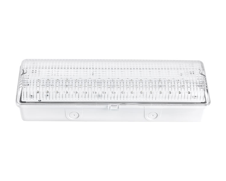 LE502L IP65 50LED vodootporno svjetlo za hitne slučajeve
