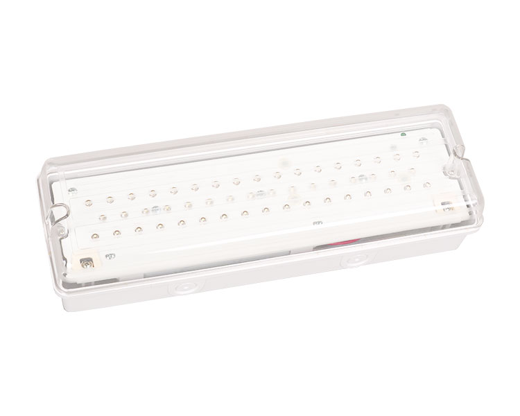 LE502L IP65 50LED vodootporno svjetlo za hitne slučajeve