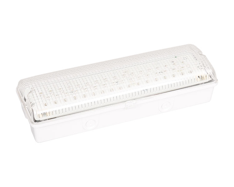 LE502L IP65 50LED vodootporno svjetlo za hitne slučajeve