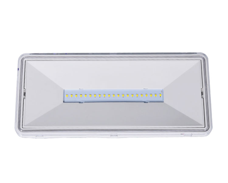LE515-21 bistri polikarbonatni difuzor 21LED vodootporne svjetiljke